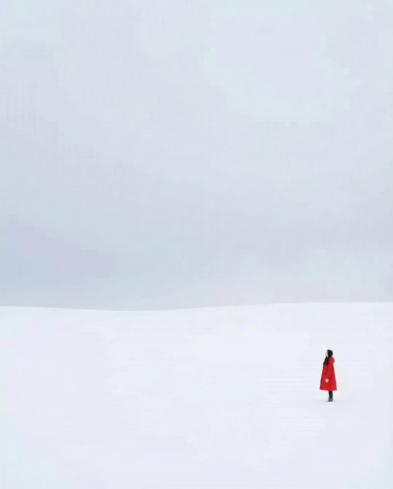 Tiny Red in Snowy Field