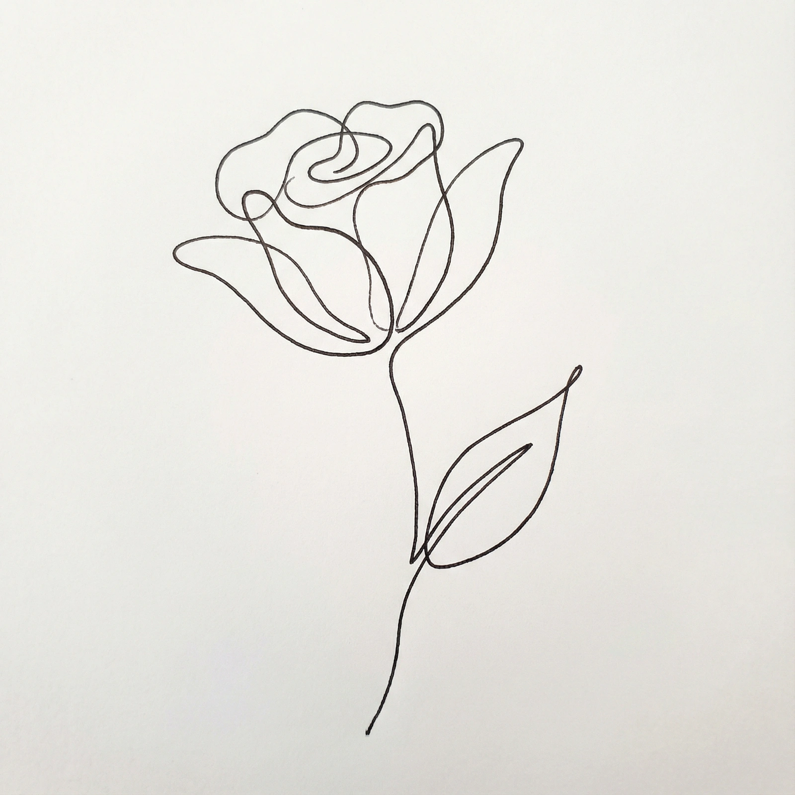 One-Line Flower Sketch